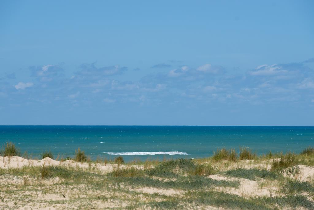 Ferret Vigne - Villa Chambres D'Hotes Lège-Cap-Ferret Exteriör bild